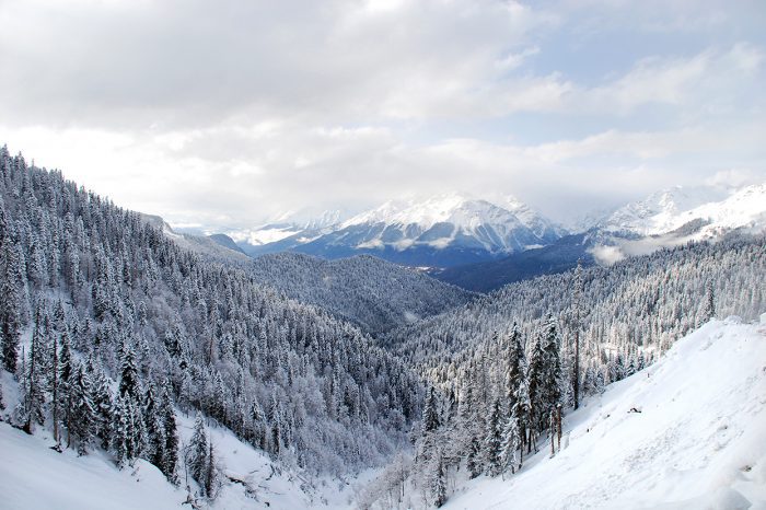 Borjomi Park – Bakuriani Ski Resort